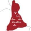 anambra-guber-poll:azubuike-echetebu-emerges-app-candidate
