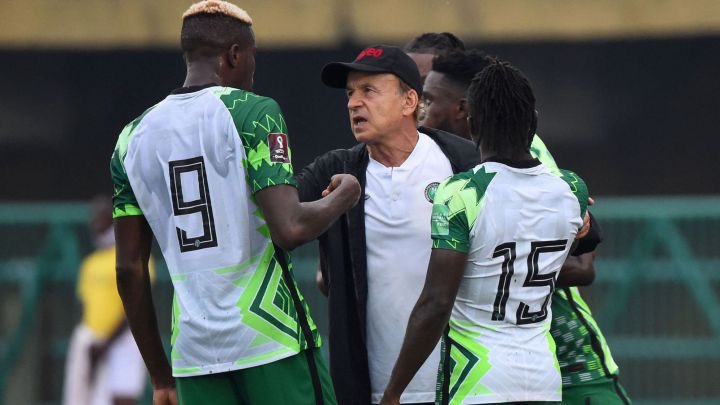 ex-serie-a-hotshot-sides-with-rohr-–-osimhen-doesn’t-have-the-experience-to-mount-a-title-charge