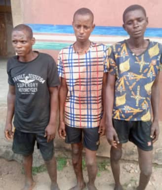 Kidnappers
