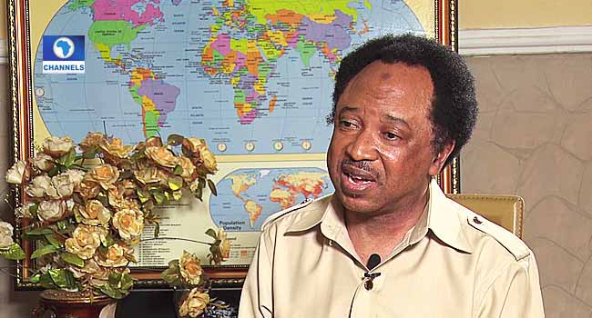 2023-elections:-shehu-sani-backs-rotational-presidency,-consensus-candidacy