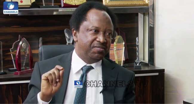 bandits-in-north-west-have-become-state-within-state-–-shehu-sani