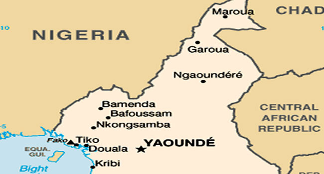 cameroon-govt-says-16-killed-in-nightclub-fire