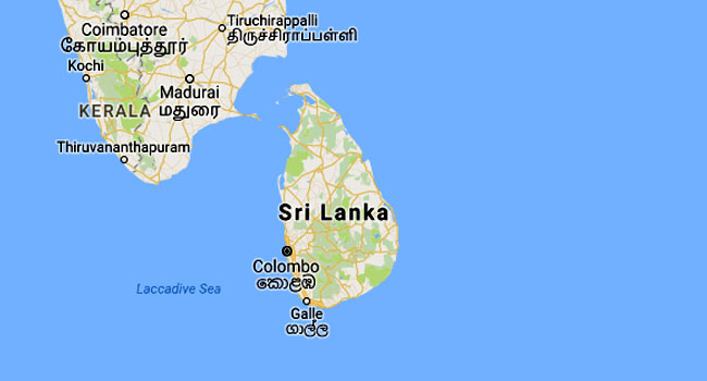 two-die-in-fuel-queues-as-sri-lanka-grapples-with-shortages