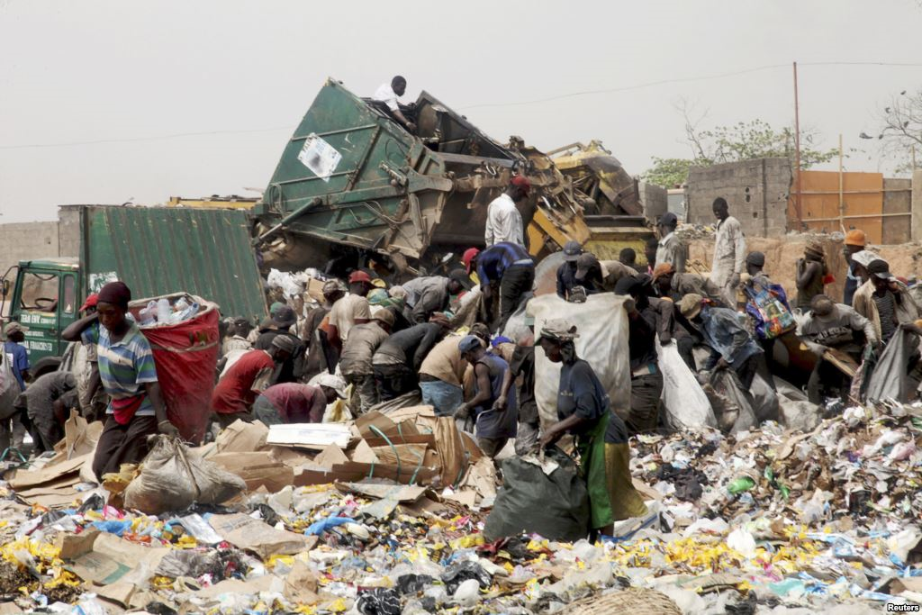 Scavengers