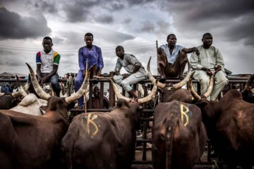 IPOB