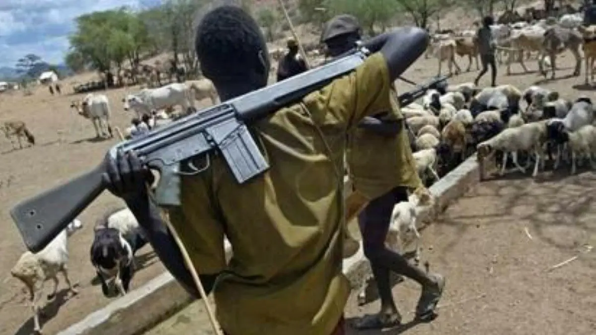 cattle