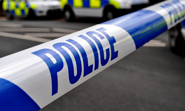 Wild dog bites man to death in UK - The Street Journal - Vimarsana News