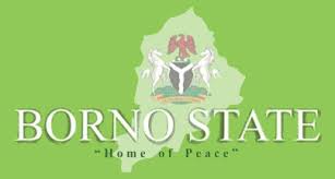 Borno state- children