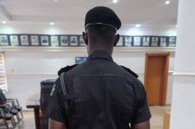 Delta Police