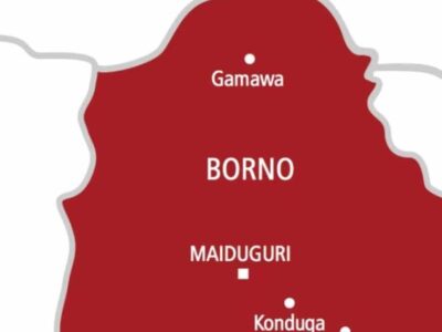 Borno-troops