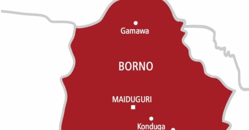 Borno-troops