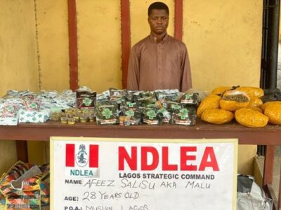 NDLEA