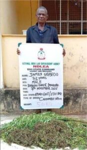 NDLEA