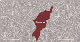 Boko Haram- Adamawa