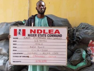 NDLEA