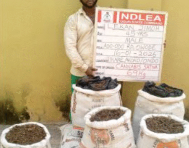 NDLEA
