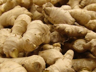 Ginger