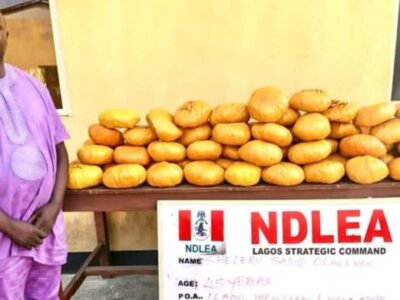 NDLEA