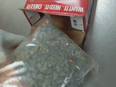 ndlea