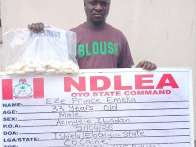 ndlea