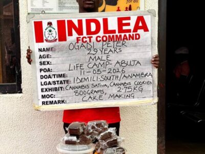 NDLEA