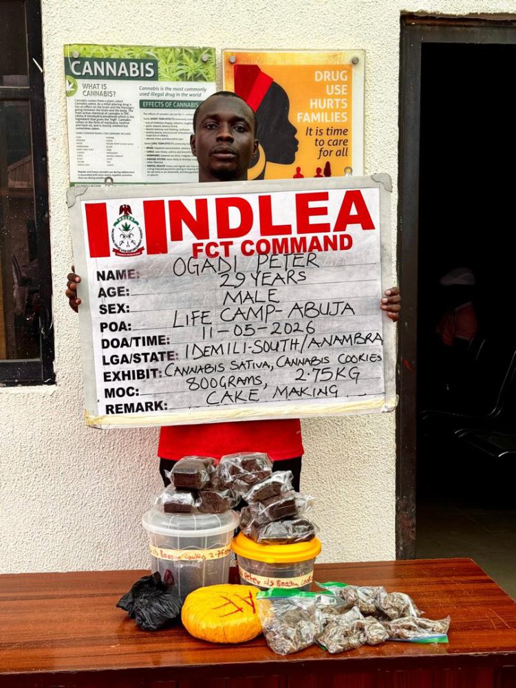 NDLEA